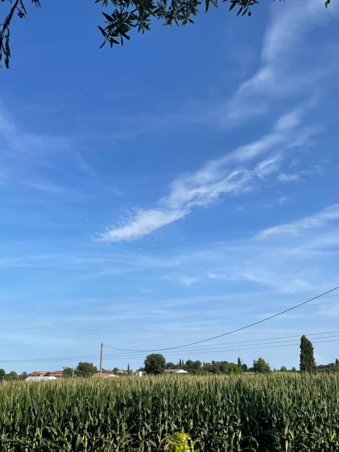 B&B Il Melograno Monzambano Buitenkant foto