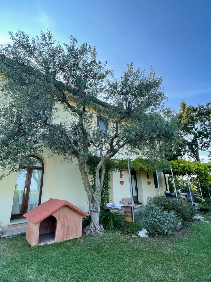 B&B Il Melograno Monzambano Buitenkant foto